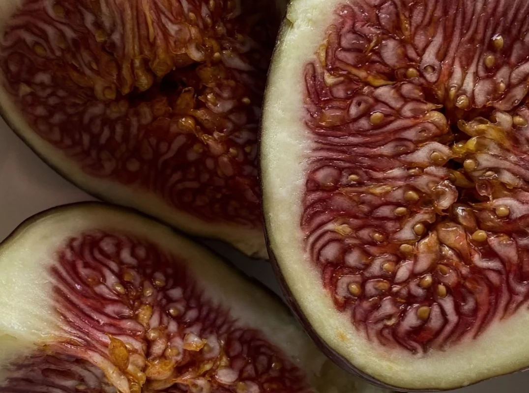 Cut figs illustrating texture in the skin-care series